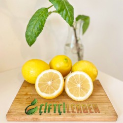 Alanya Limonu 1 Kg